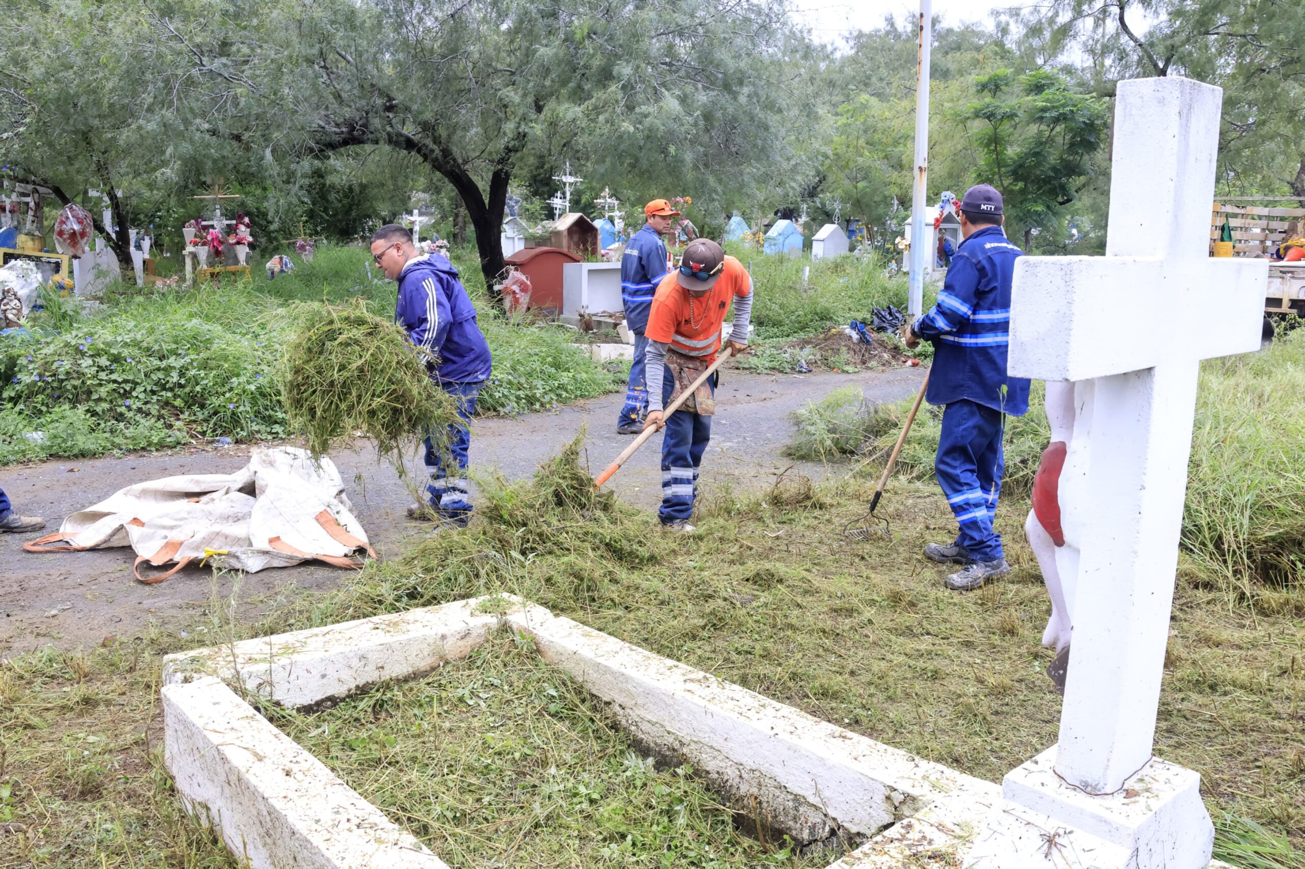 Limpian y deshierban panteones municipales de Mty