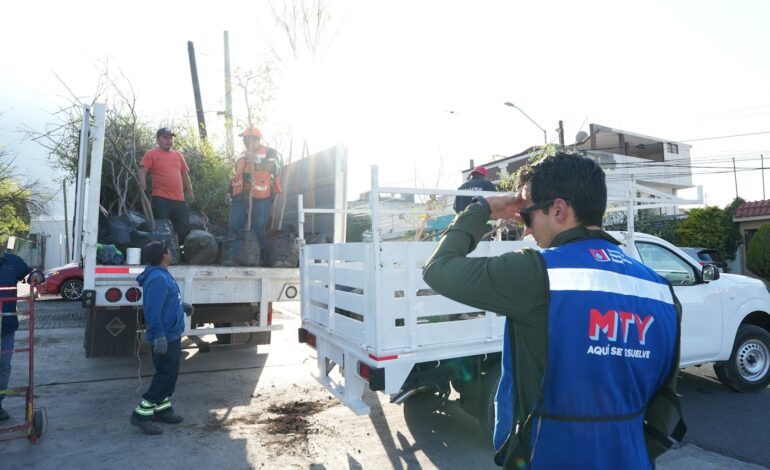 Invita Monterrey a participar en el programa “Adopta un árbol Mty.”