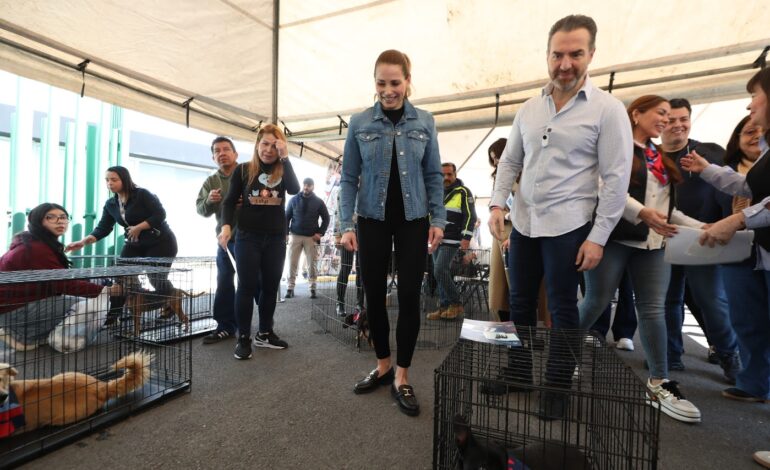 Fomenta Monterrey adopción gratuita de perros y gatos