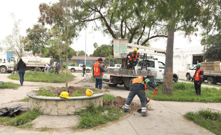 Rehabilitan espacios públicos en colonia Hidalgo