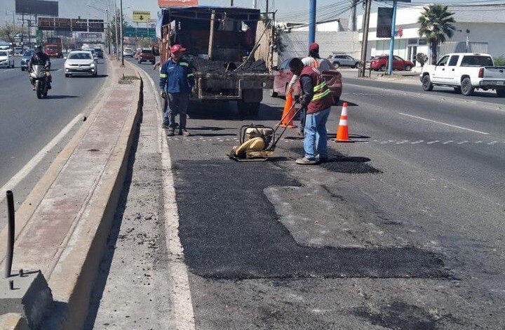 Bachea Santa Catarina avenidas principales