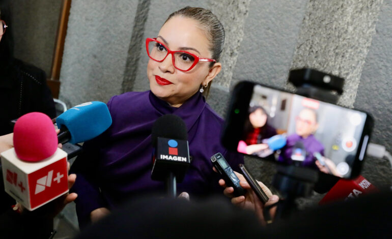 «Si a los 18 puedes votar; ¿por qué no puedes ser votado?»: Armida Serrato