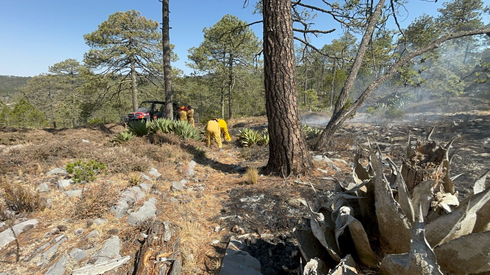 Realiza Protección Civil acciones conjuntas para sofocar incendios en Galeana