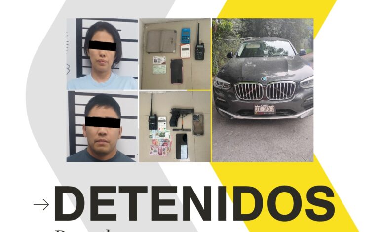 Ratas inhibían controles de autos para abrirlos y robar tarjetas y objetos en Santiago