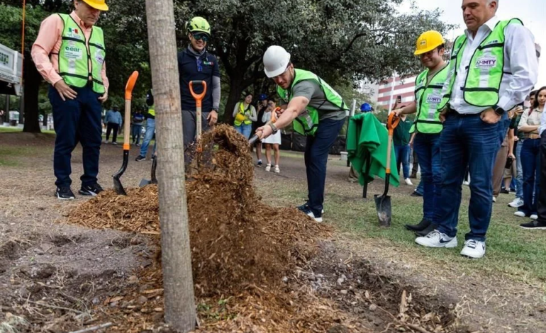 Afirman plantar 650 mil árboles, pero no dicen dónde
