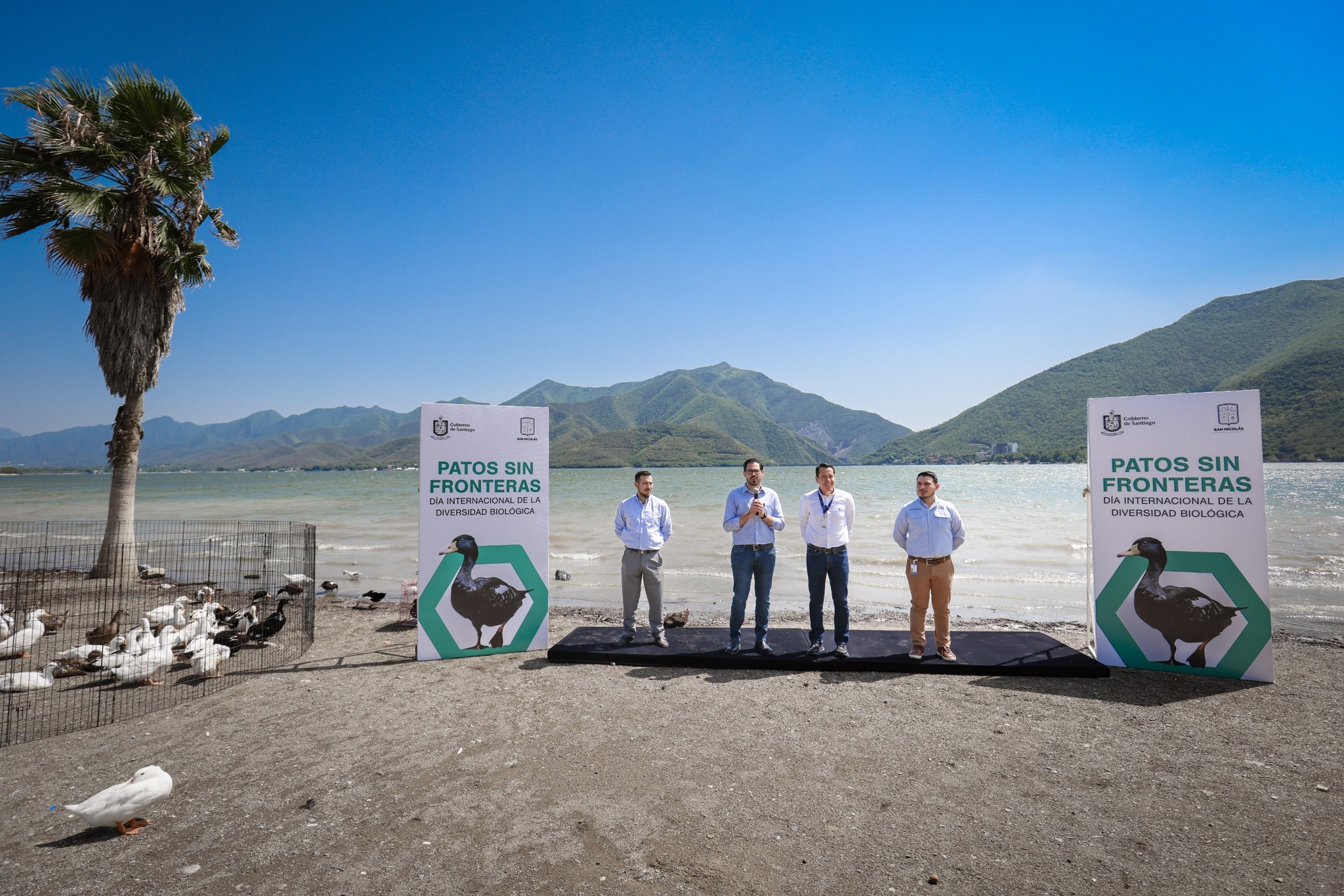 ¡Al agua patos! Santiago y San Nicolás hacen sinergia e insertan 30 patos en La Boca