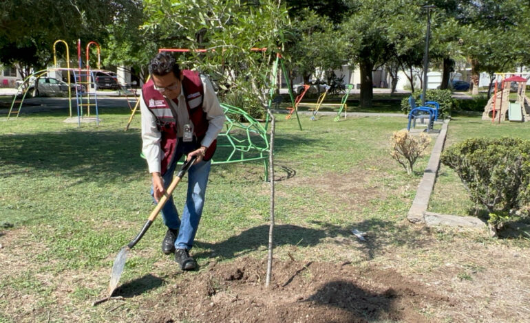 Santa Catarina impulsa áreas verdes