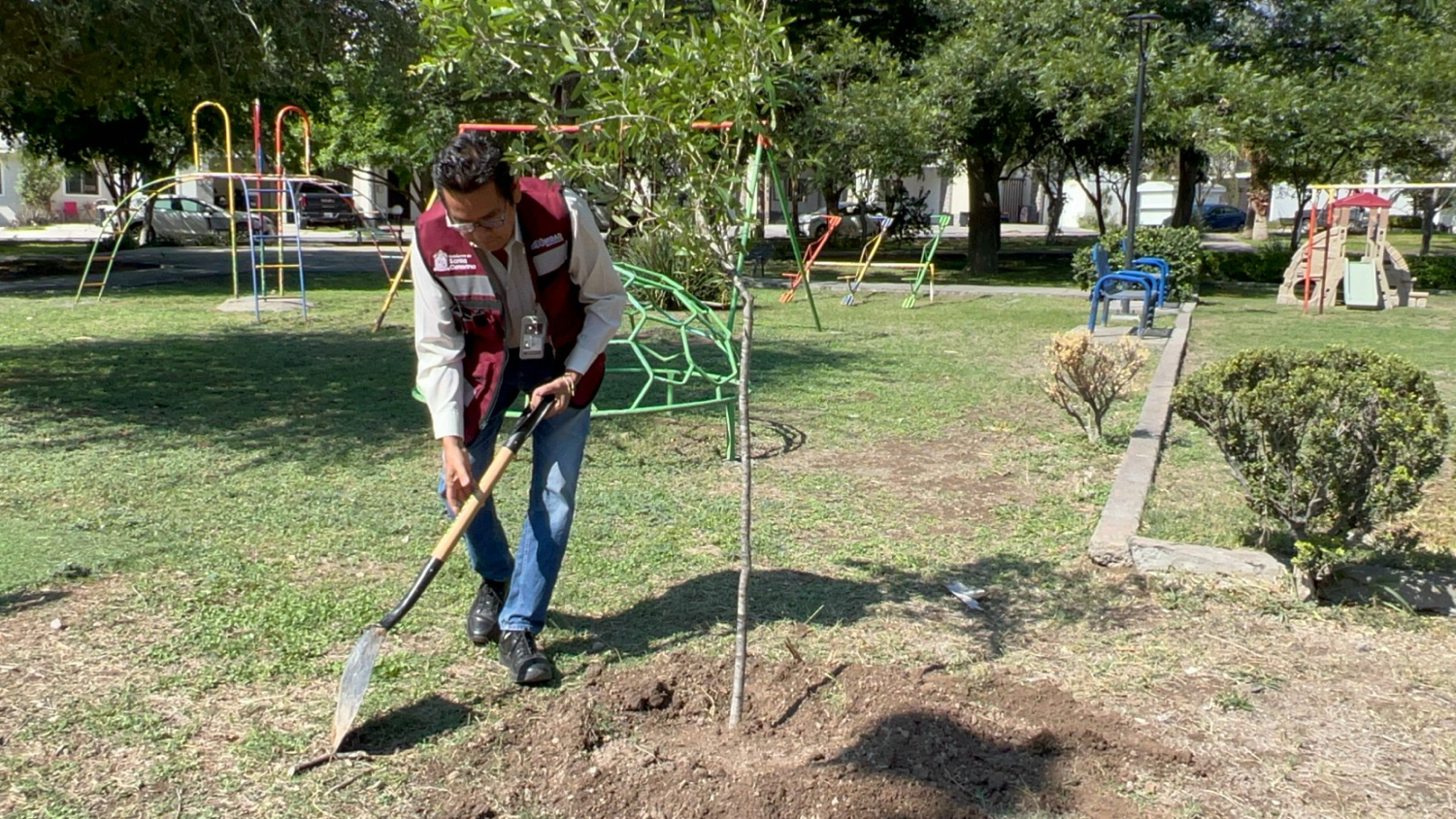 Santa Catarina impulsa áreas verdes