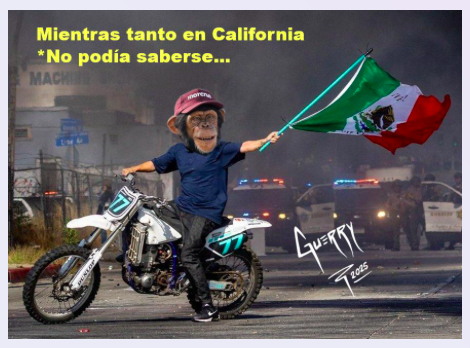 Ansina nos ven