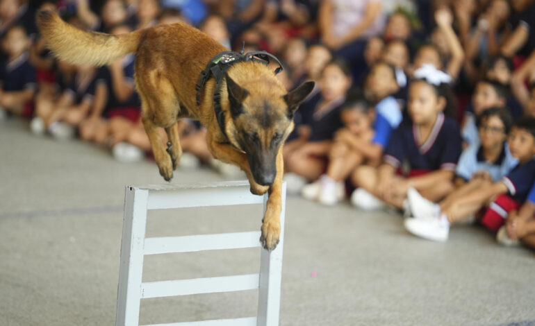 Lleva Santa Catarina a su equipo K9 a escuelas para prevenir el uso de drogas