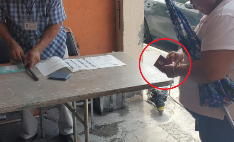 Usan acordeones propios y oficiales en elección