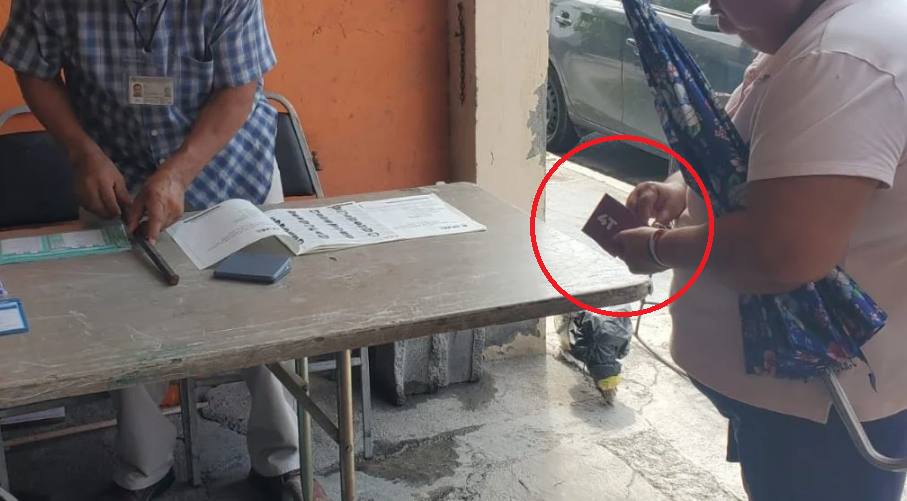 Usan acordeones propios y oficiales en elección