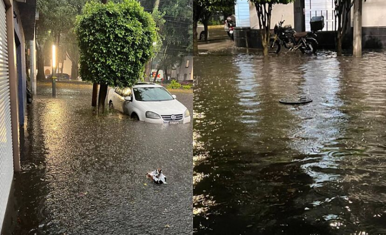 Lluvias dejan inundaciones y caída de árboles en CDMX; se desborda presa en Naucalpan