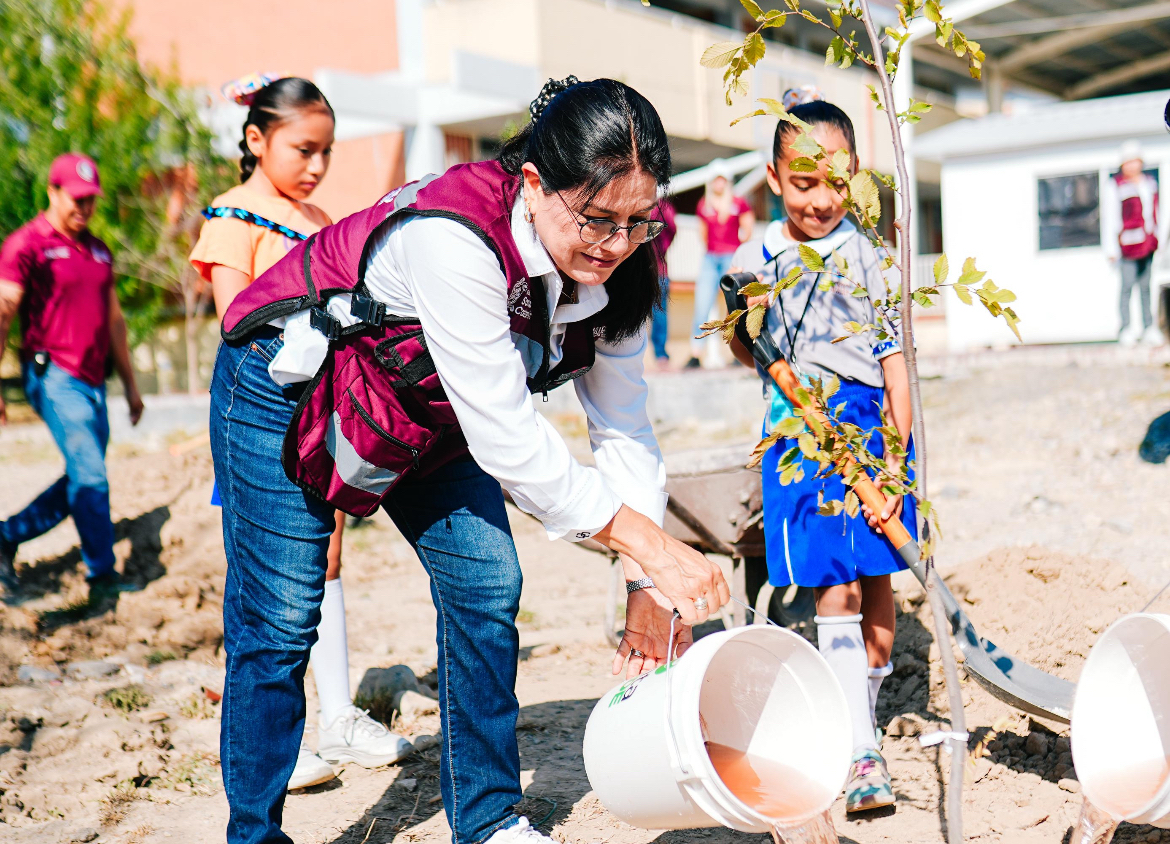 Planta Santa Catarina más de mil árboles