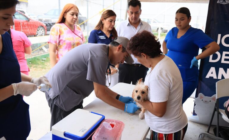 Ofrece Monterrey campaña de salud y bienestar animal