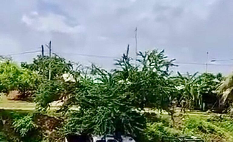 Emboscan y asesinan a cuatro policías de Igualapa, Guerrero