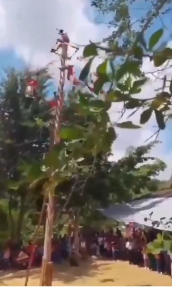 Caen voladores de Papantla durante ceremonia en Tihuatlán, Veracruz