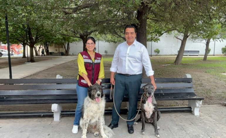 Promueve Santa Catarina adopción responsable con Feria del Bienestar Animal