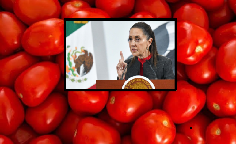 Jitomate mexicano seguirá exportándose a EU, pese a aranceles: Sheinbaum