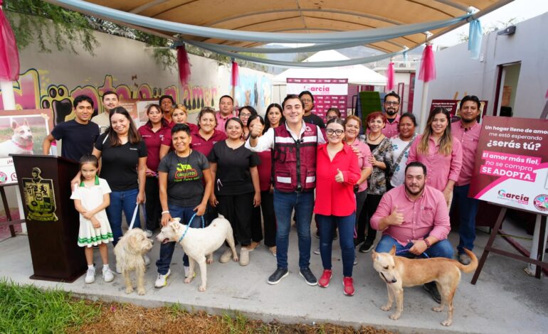 Activa García plataforma digital para adopción de mascotas rescatadas.