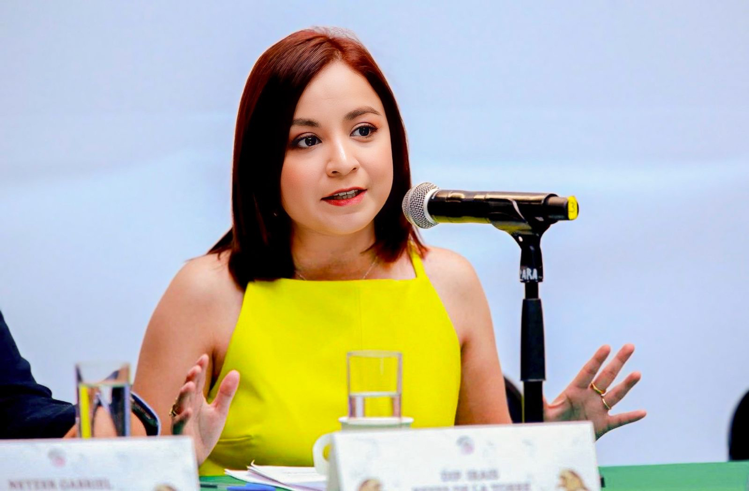 Los anexos para rehabilitación de adictos deben censarse y ser verificados, señala Iraís Reyes