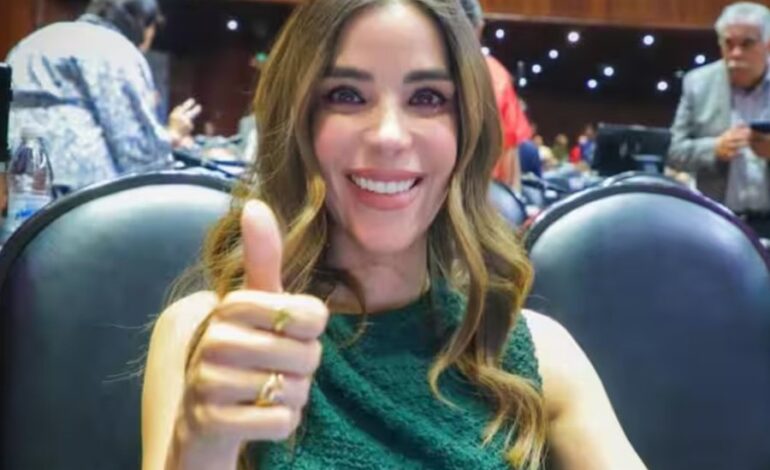 La diputada «dato protegido» Karina Barreras  suma casi 5 mdp a sus bienes entre ropa y joyeria
