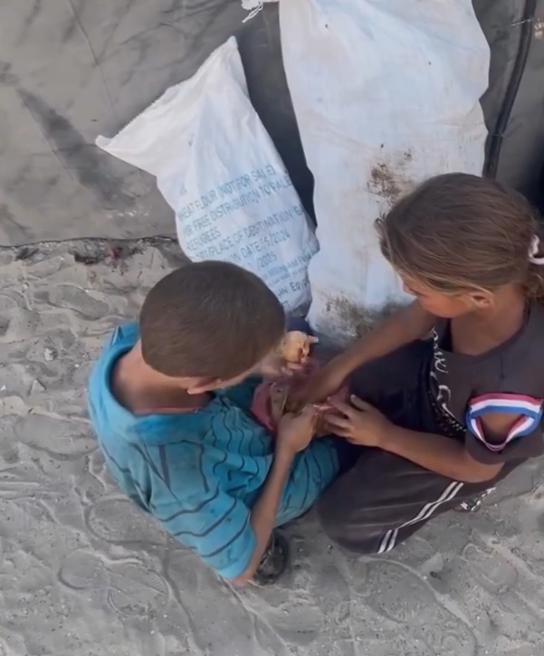 Analiza México dar asilo a niñas y niños palestinos huérfanos