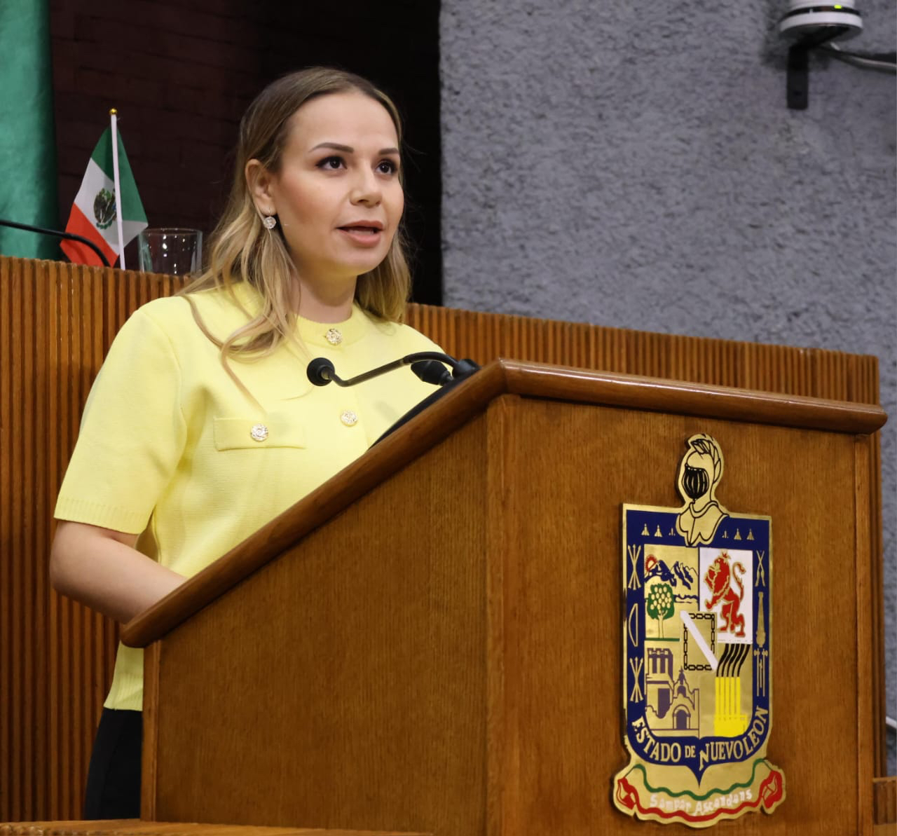 Solicita Aile Tamez crear consejo de Transporte de Carga