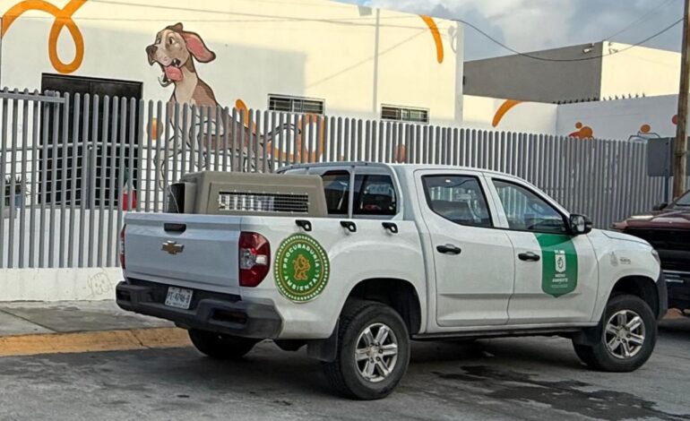 Descartado maltrato animal en Santa Catarina, Centro seguirá abierto