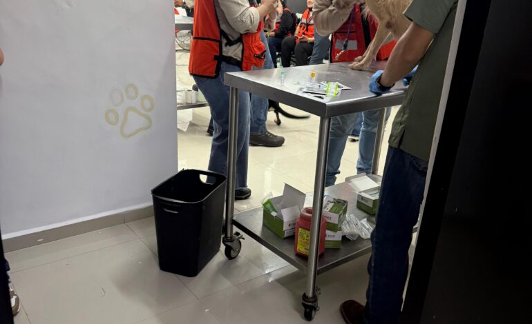 Constata fiscalía que 70 perros están con vida