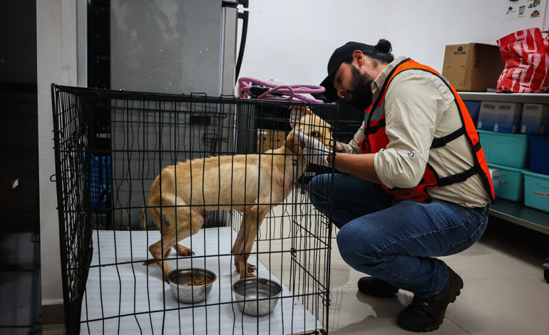 División Ambiental y Fiscalía de Nuevo León aseguran animales del Centro de Bienestar de Santa Catarina