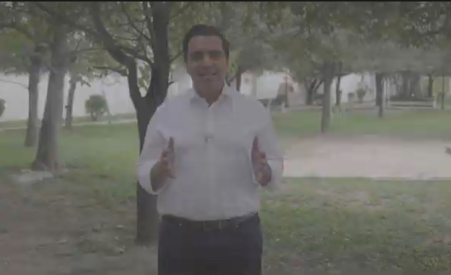 Están vivos los 70 perritos: Jesús Nava