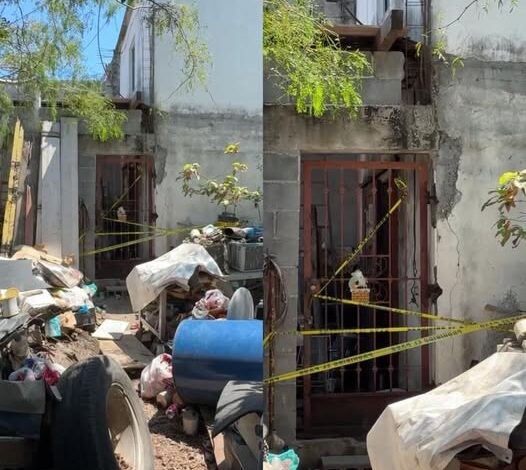 Perros matan a bebé de 11 meses en Matamoros