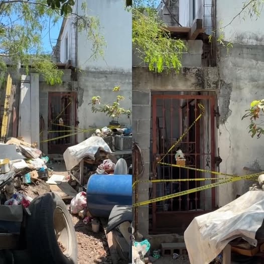 Perros matan a bebé de 11 meses en Matamoros