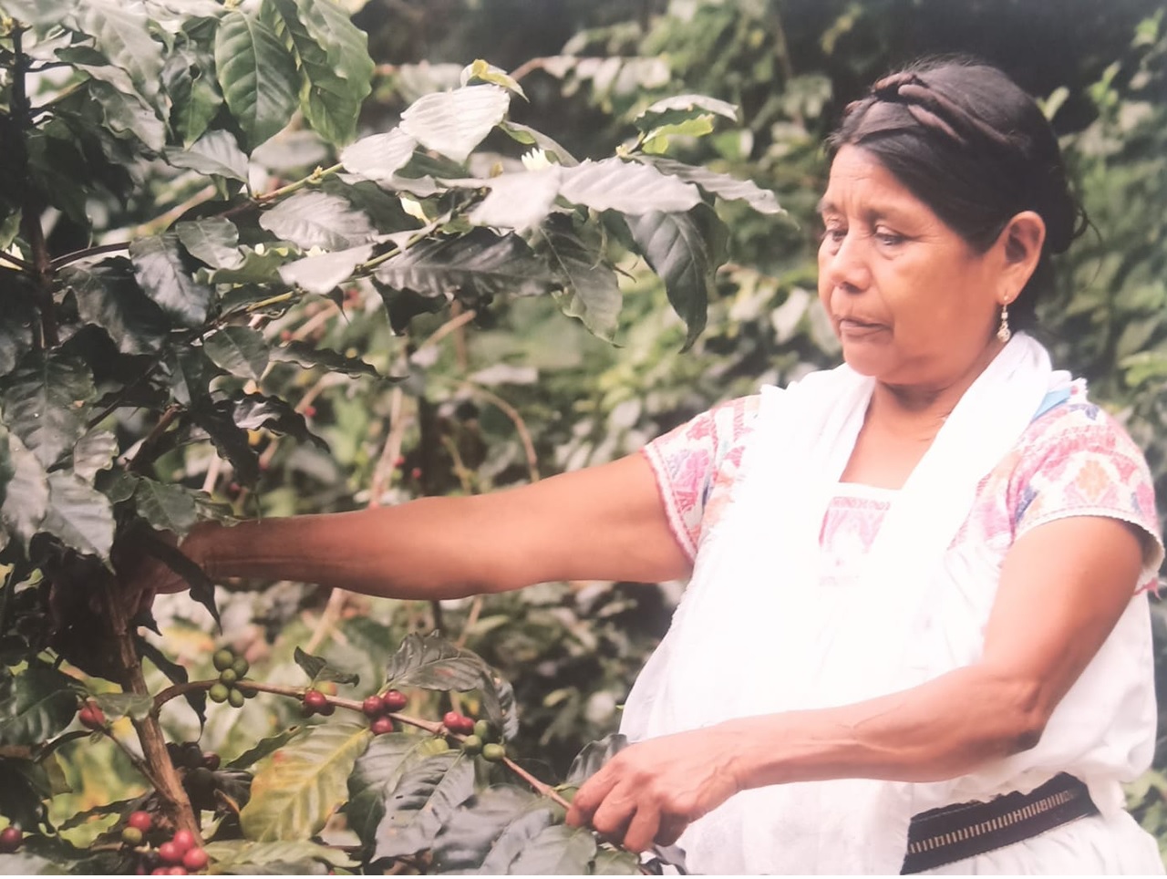 Mujeres indígenas rinden homenaje a la madre tierra