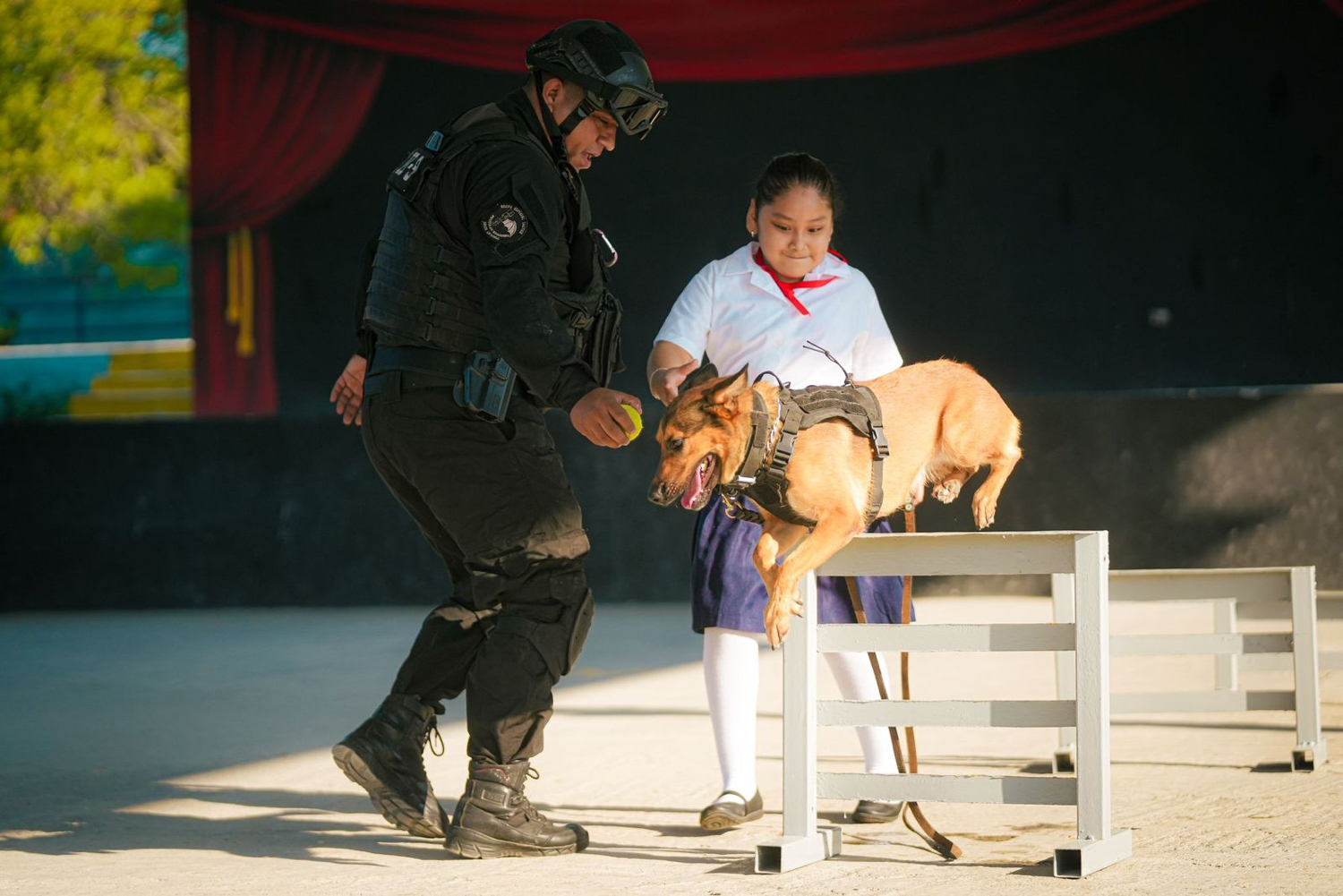 Dan exhibición de K9 para prevenir sobre el uso de drogas en Santa Catarina