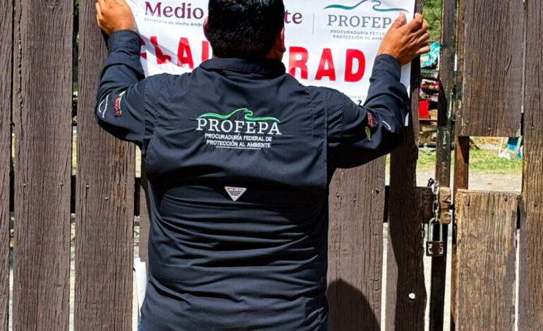 ¡Qué vergüenza NL! Por mal atención a osa Mina, Profepa aplica clausura al zoológico La Pastora