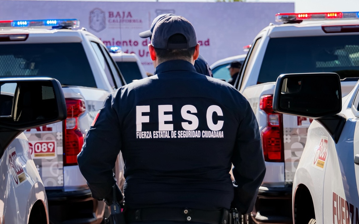 Grupo de 14 policías de BC decomisan 180 kilos de coca… se la quedan: Los suspenden