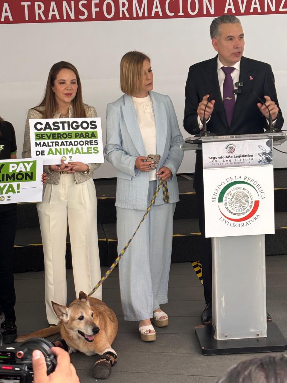 Waldo Fernández propone crear santuarios animales y desaparecer zoológicos