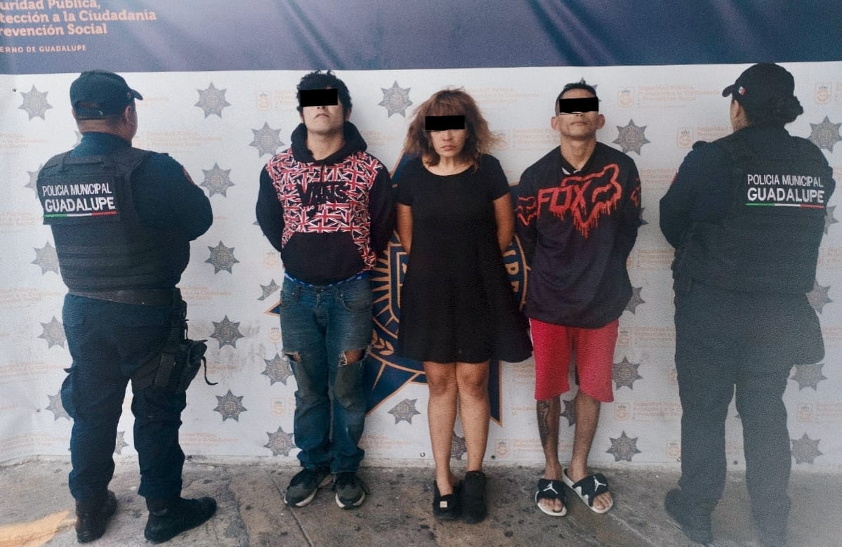 Atoran a banda de ratas violentas en Guadalupe