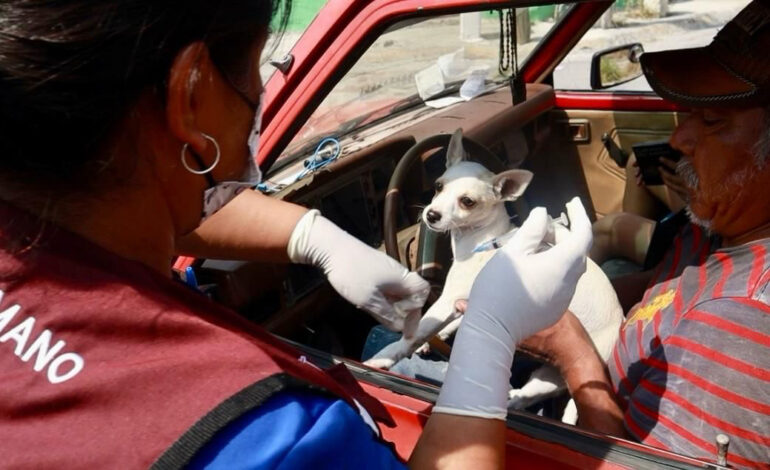 Lleva Nava atención veterinaria a Colonias