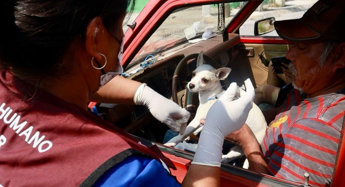 Lleva Nava atención veterinaria a Colonias