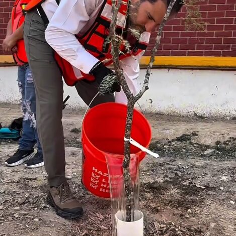 Arranca programa “Bosques Escolares” para reforestar escuelas de NL