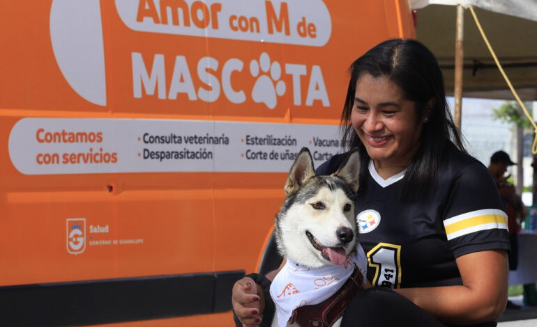 Tendrá Guadalupe nuevo reglamento para la protección de animales