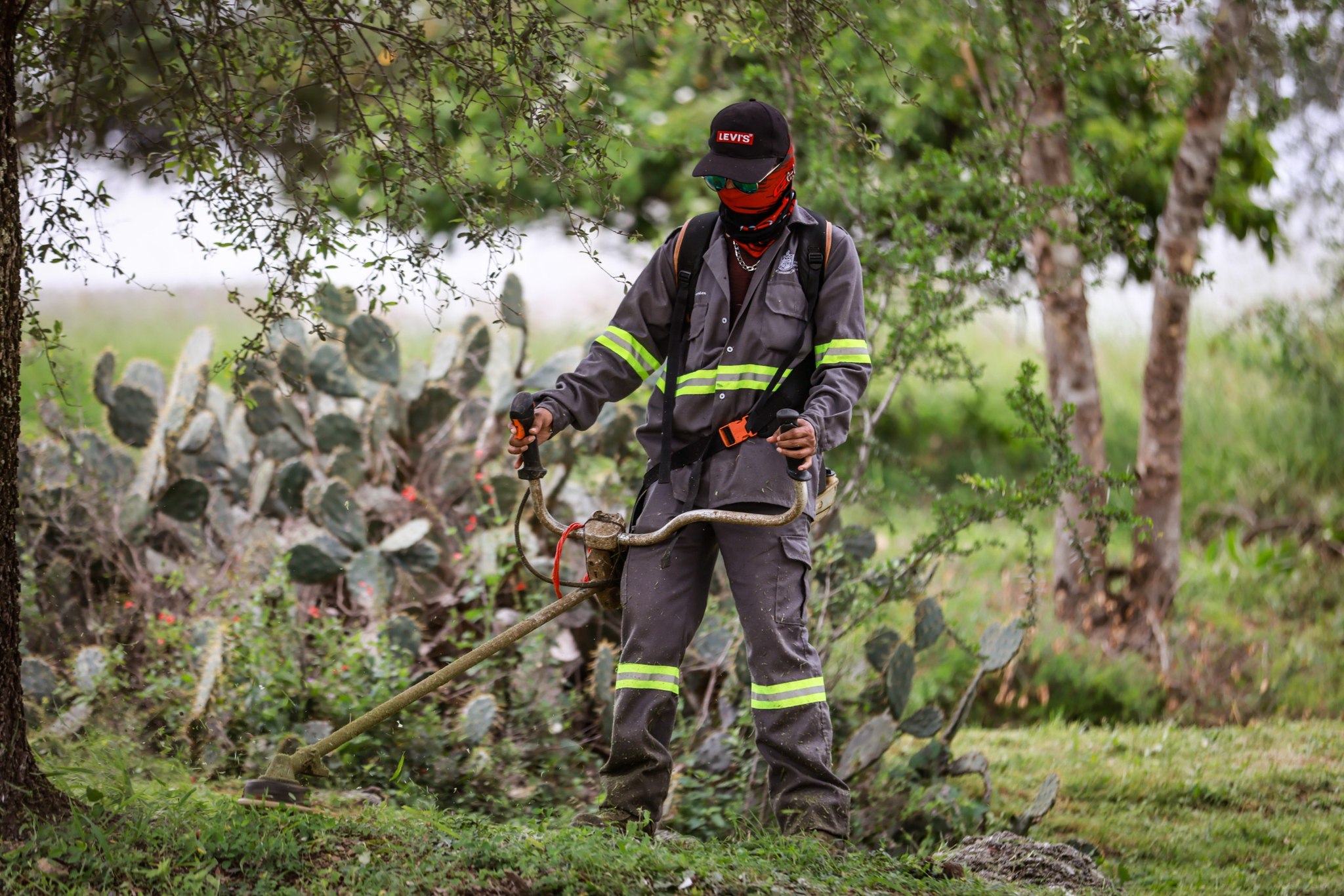 Toma Santiago acciones contra el Dengue