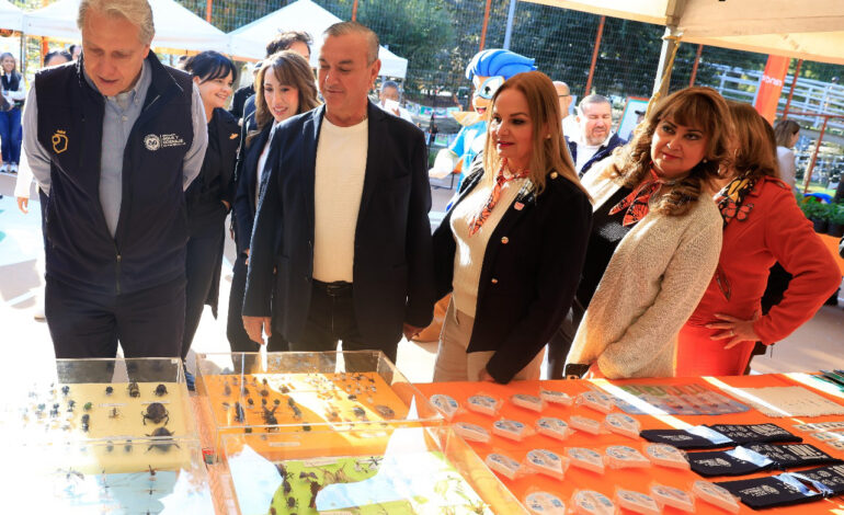 Protegerá Guadalupe a Mariposa Monarca