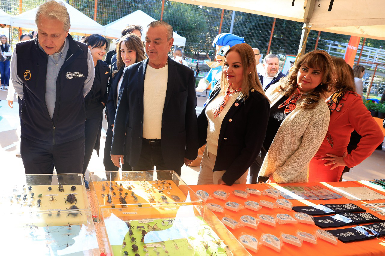 Protegerá Guadalupe a Mariposa Monarca