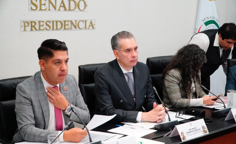 Fijará Senado los términos base de negociación del T-MEC, asegura Waldo Fernández