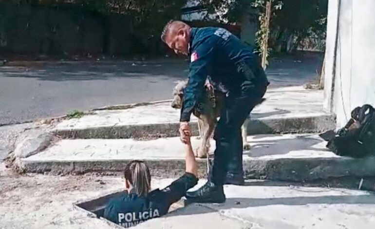 Rescatan a mascota de registro telefónico