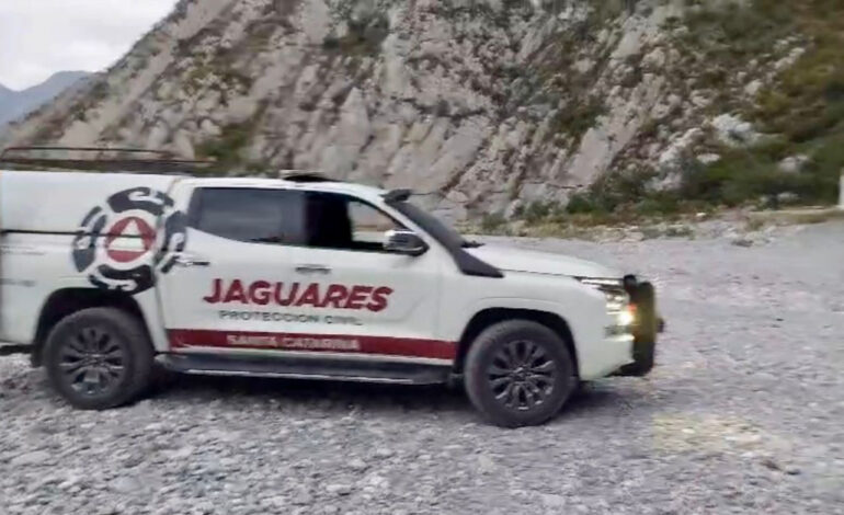 Previene Jaguares a paseantes por avistamiento de osos en La Huasteca